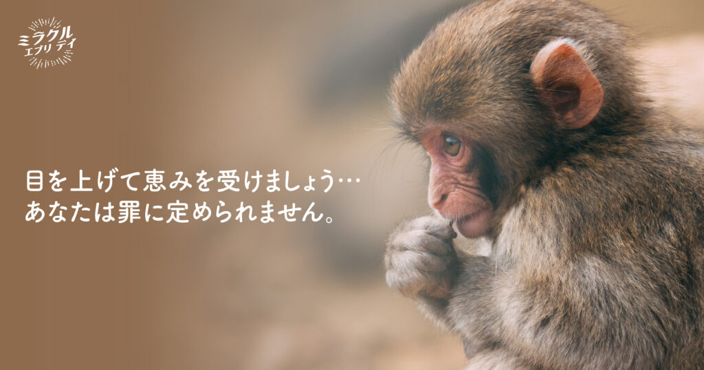 AMED_image_22.3 - コピー AMED_image_22.3 - コピー
